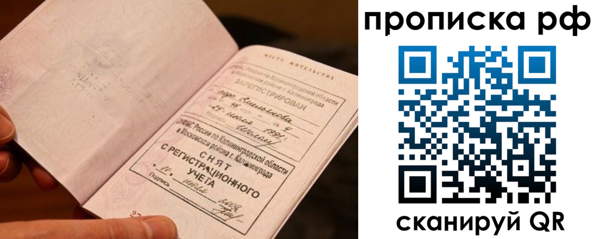 прописка гарантия в Кудрово